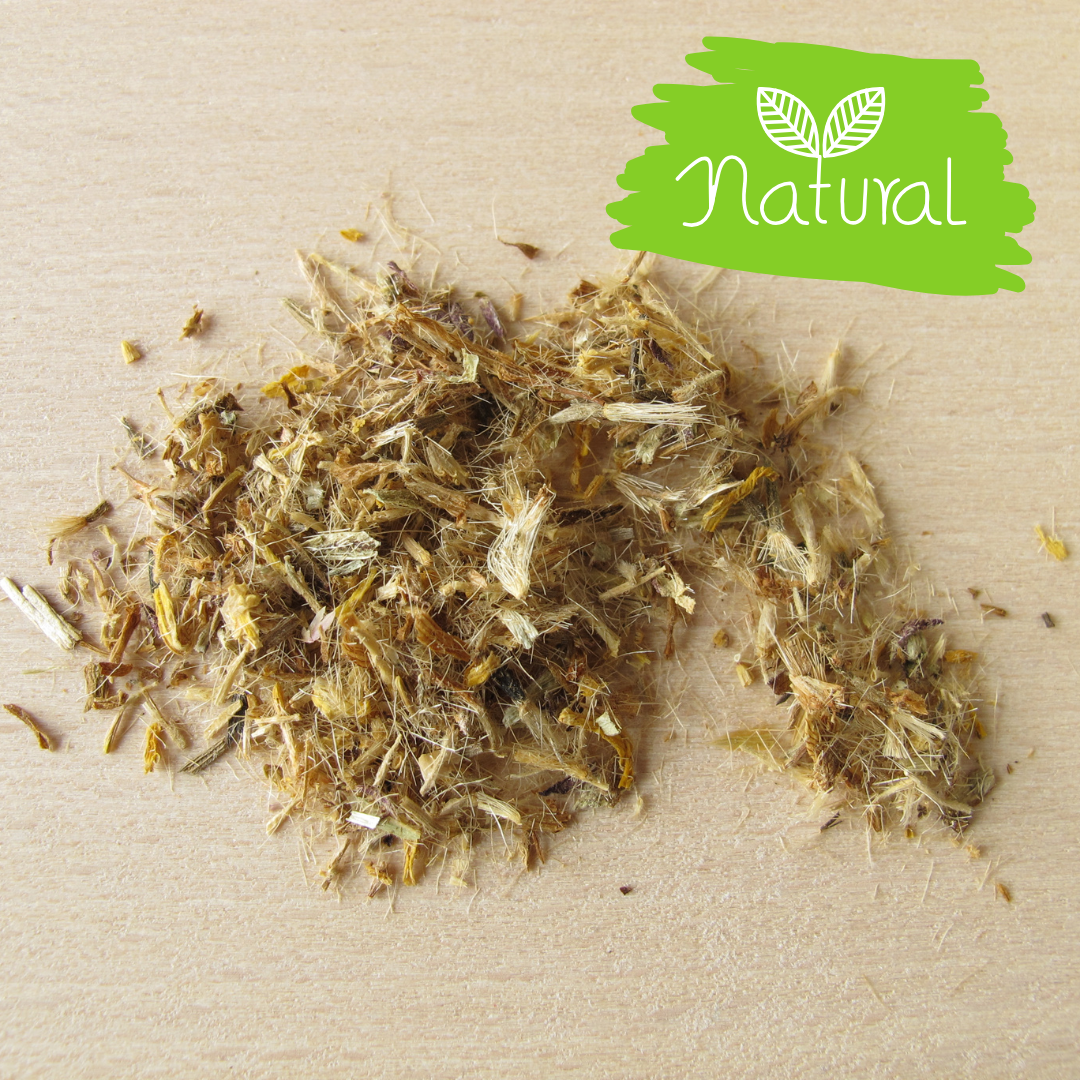Arnica Flowers Whole or Powder | Arnica montana | 1 oz, 4 oz, 8 oz